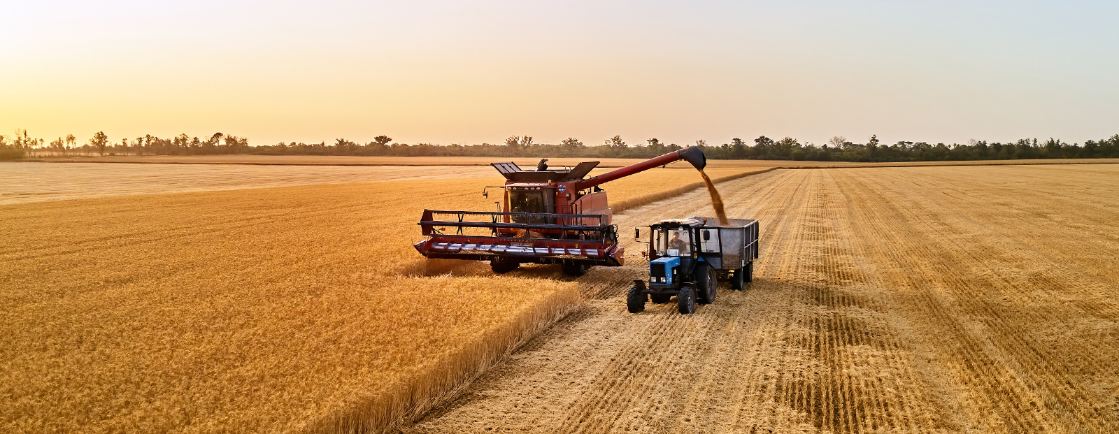 Sunrise in the spring field