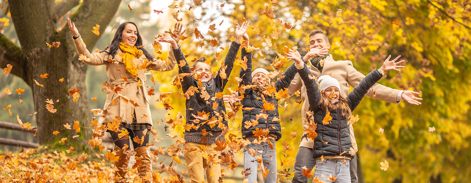 Tulips farm and red barns